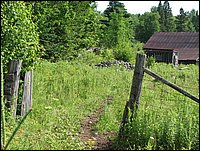 Img_0153.jpg