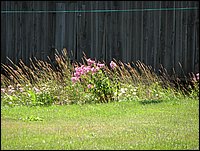Img_1052.jpg
