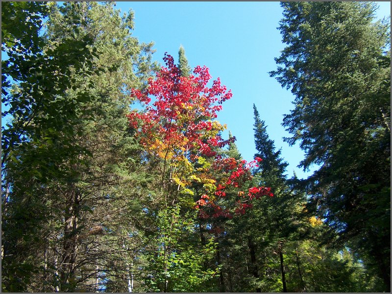 Hpim2290.jpg