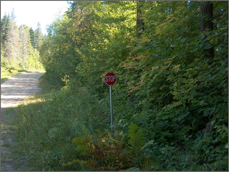 Hpim2293.jpg