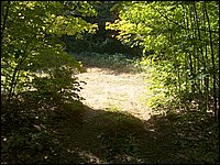 Hpim2245.jpg