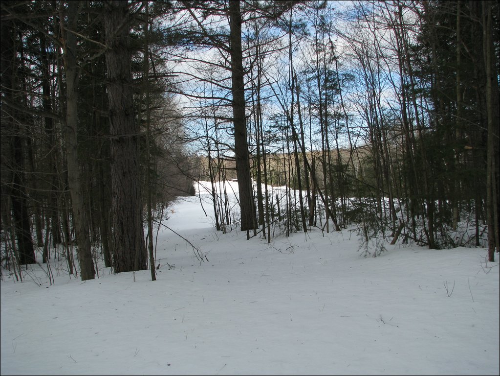 Img_0160.jpg