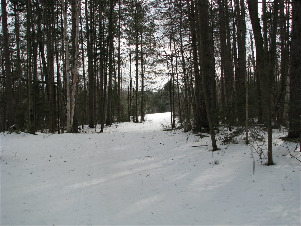 Img_0163.jpg