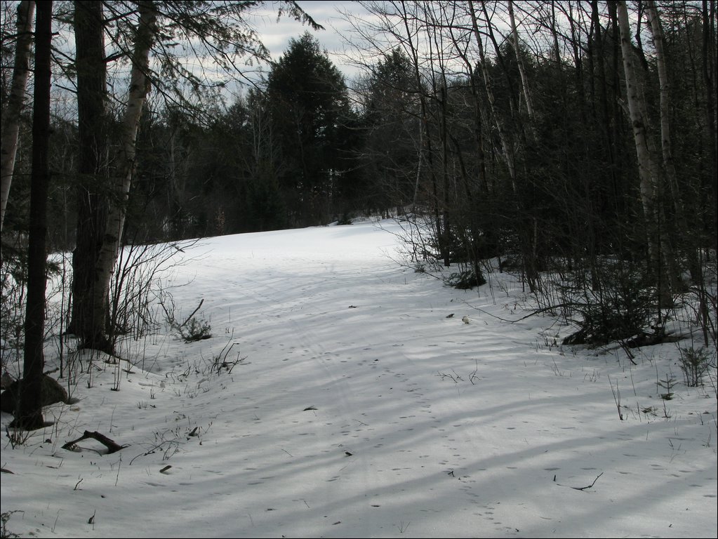 Img_0169.jpg