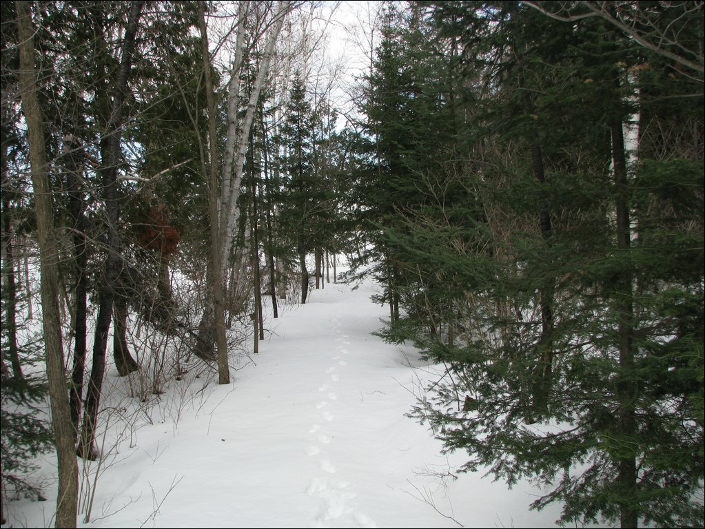 Img_0260.jpg