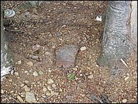 Img_0199.jpg