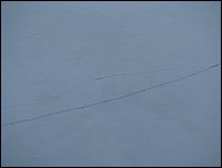 Img_0286.jpg