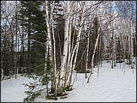 Img_0328.jpg