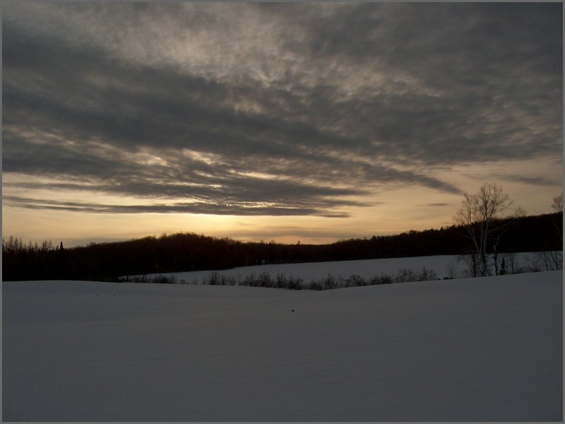 Feb 2005g.jpg