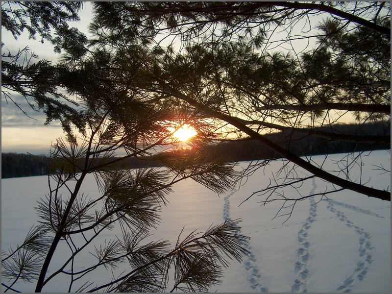 Feb2005g.jpg