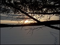 Feb 2005u.jpg