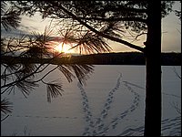 Feb2005h.jpg