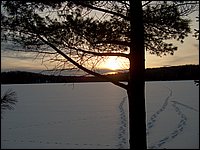 Feb2005p.jpg
