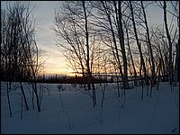 Feb2005y.jpg