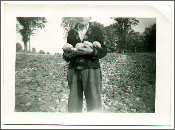Alex Grabowski's Potatoes.jpg