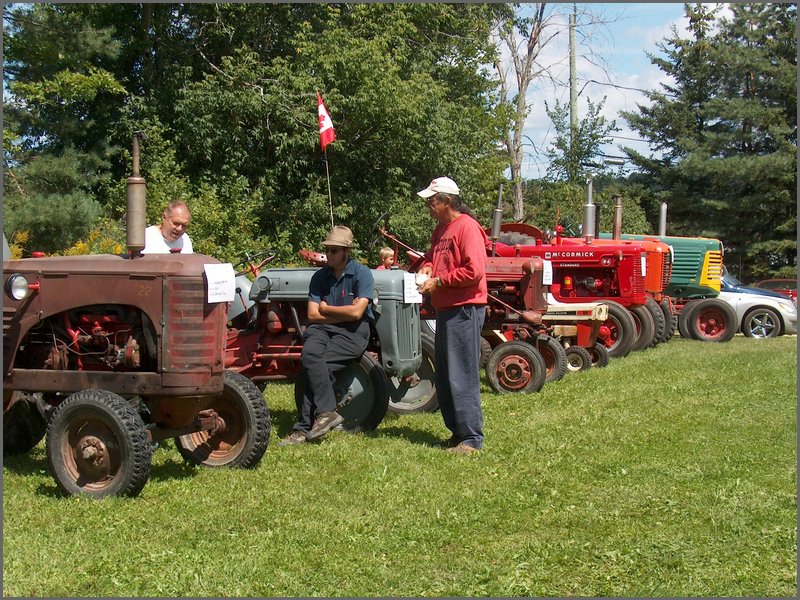 History Alive 43.jpg