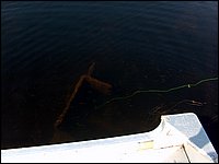 Sunken First Houseboat 2.jpg