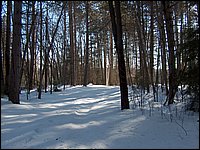 Jan_28_2006_26.JPG