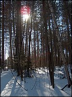 Jan_28_2006_29.JPG