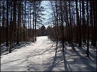 Jan_28_2006_32.JPG