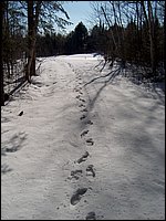 Jan_28_2006_33.JPG