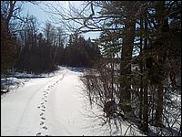 Jan_28_2006_39.JPG