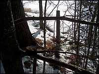 Jan_28_2006_75.JPG