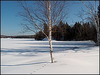 Jan_28_2006_88.JPG