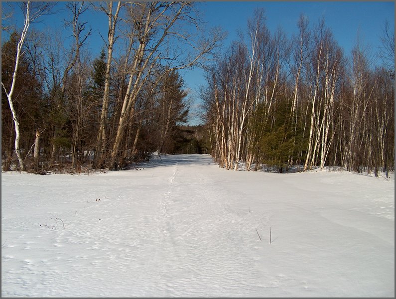 Winter_Road_13.jpg