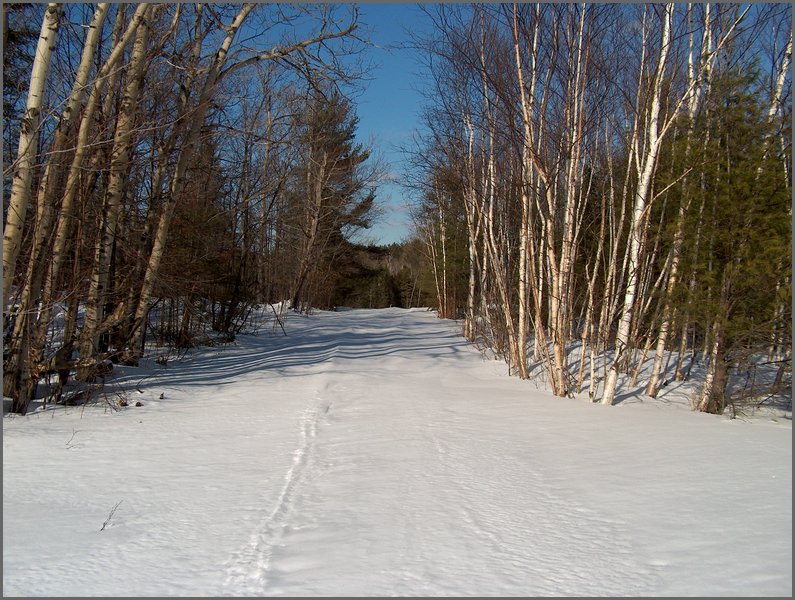 Winter_Road_15.jpg