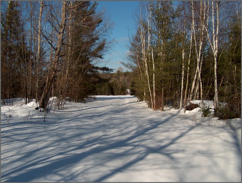 Winter_Road_18.jpg
