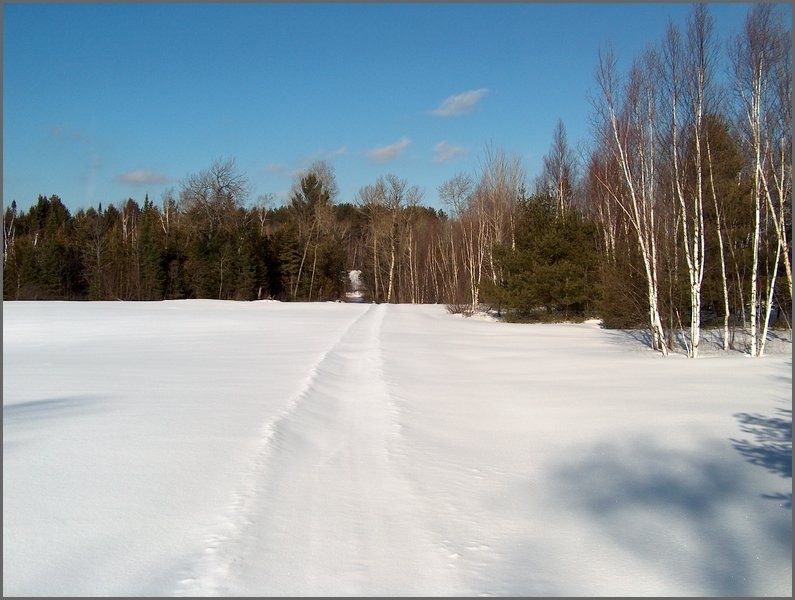 Winter_Road_26.jpg