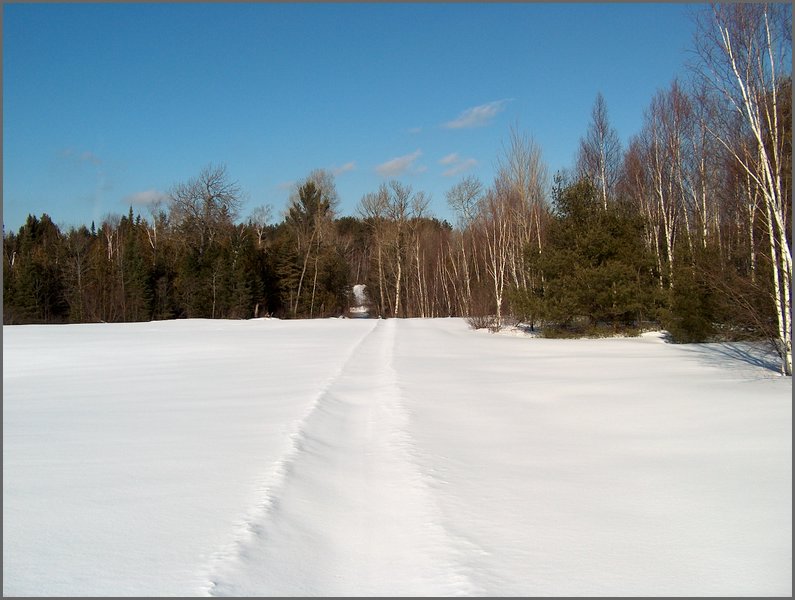 Winter_Road_27.jpg