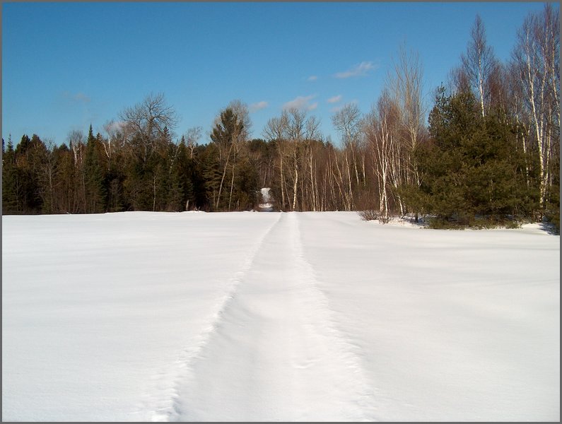 Winter_Road_28.jpg
