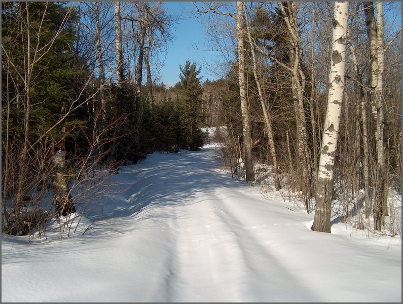 Winter_Road_39.jpg