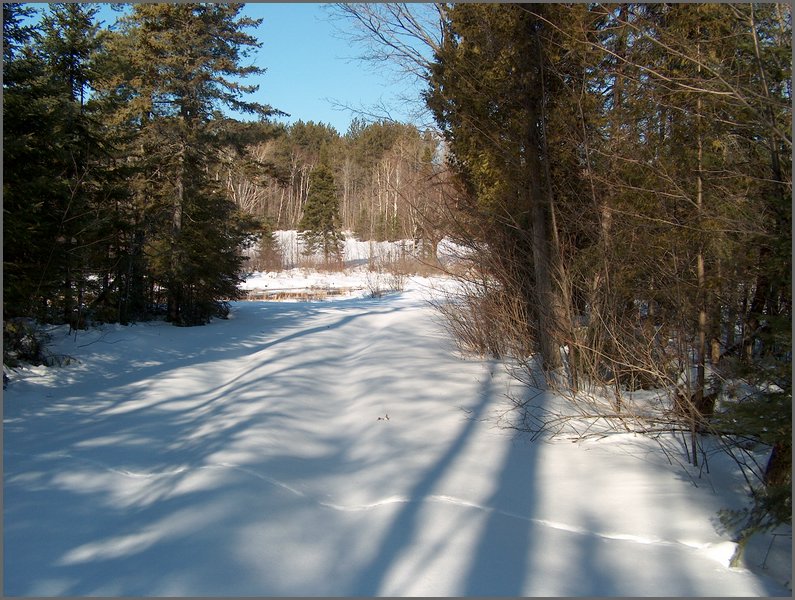 Winter_Road_44.jpg