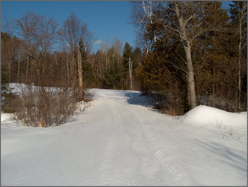 Winter_Road_52.jpg