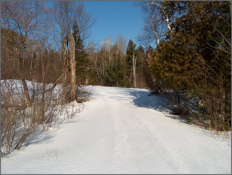 Winter_Road_53.jpg