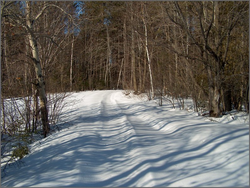 Winter_Road_64.jpg