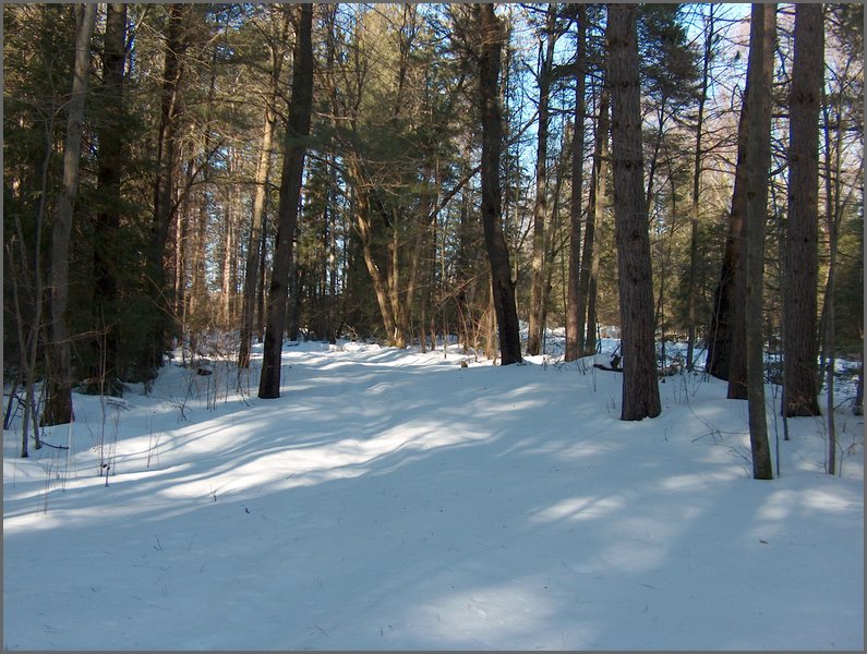 Winter_Road_78.jpg
