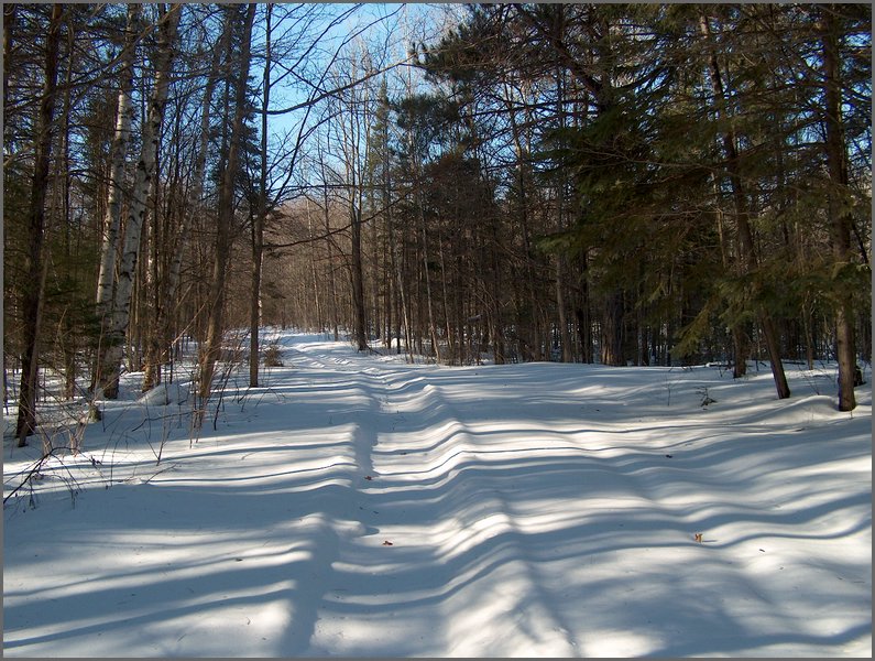 Winter_Road_89.jpg