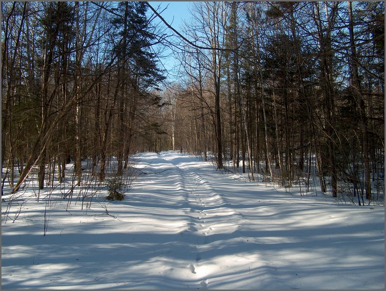 Winter_Road_91.jpg