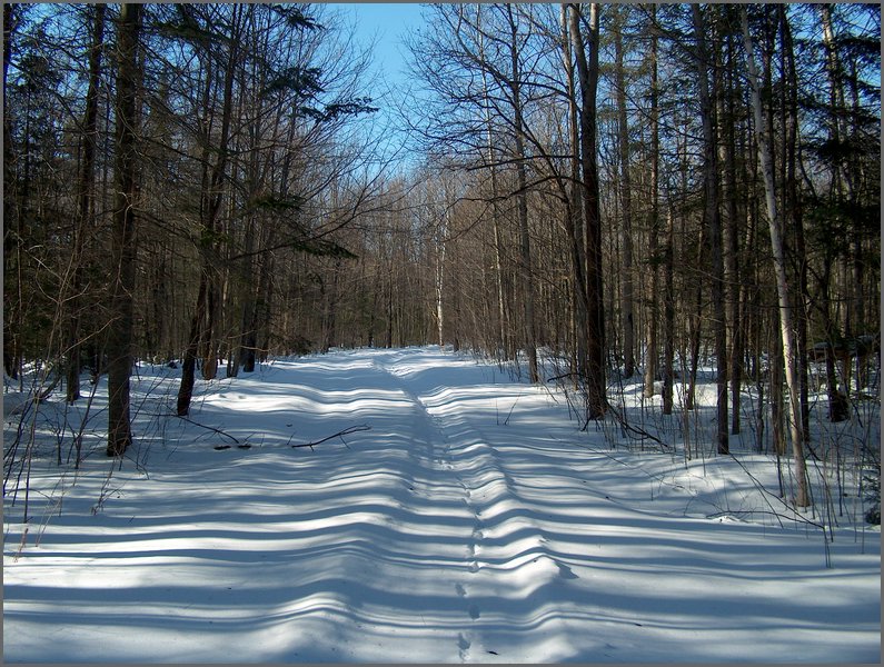 Winter_Road_93.jpg