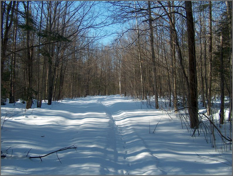 Winter_Road_94.jpg