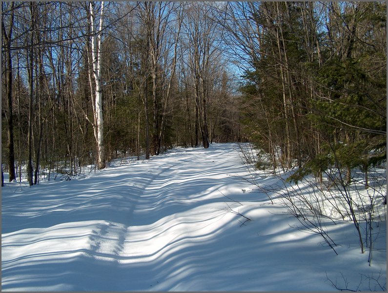 Winter_Road_99a.jpg