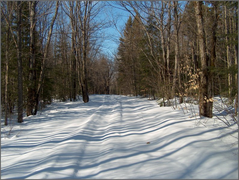 Winter_Road_99c.jpg