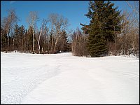 Winter_Road_08.jpg