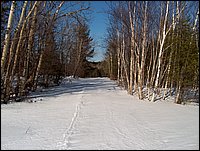 Winter_Road_15.jpg