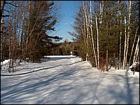 Winter_Road_19.jpg