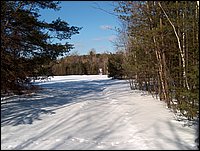 Winter_Road_21.jpg